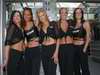 Pitbabes GIRLS 2005